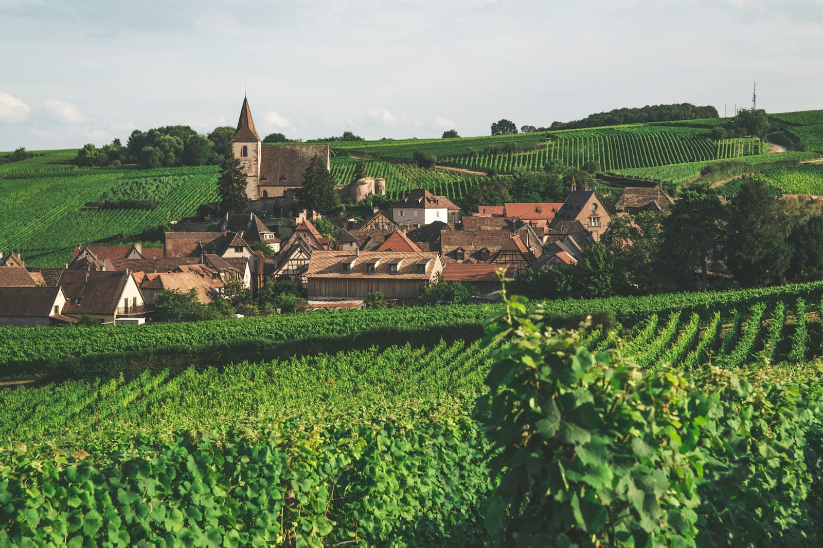 Alsace : 7 pépites à portée de détour (au-delà de Colmar)