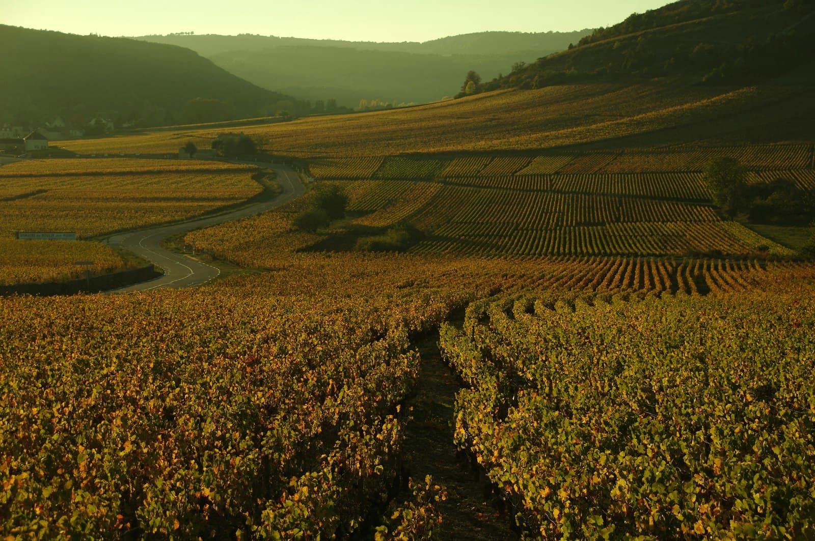 Bourgogne : 7 pépites à portée de détour (au-delà des grands crus)
